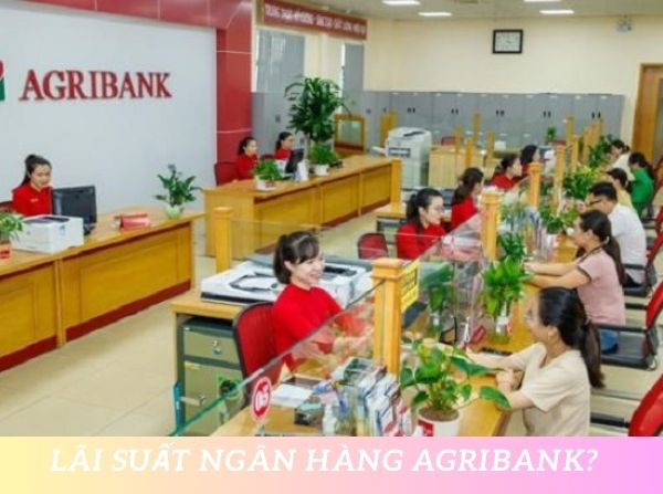 Gửi tiết kiệm 50 triệu ngân hàng Agribank lãi suất bao nhiêu?